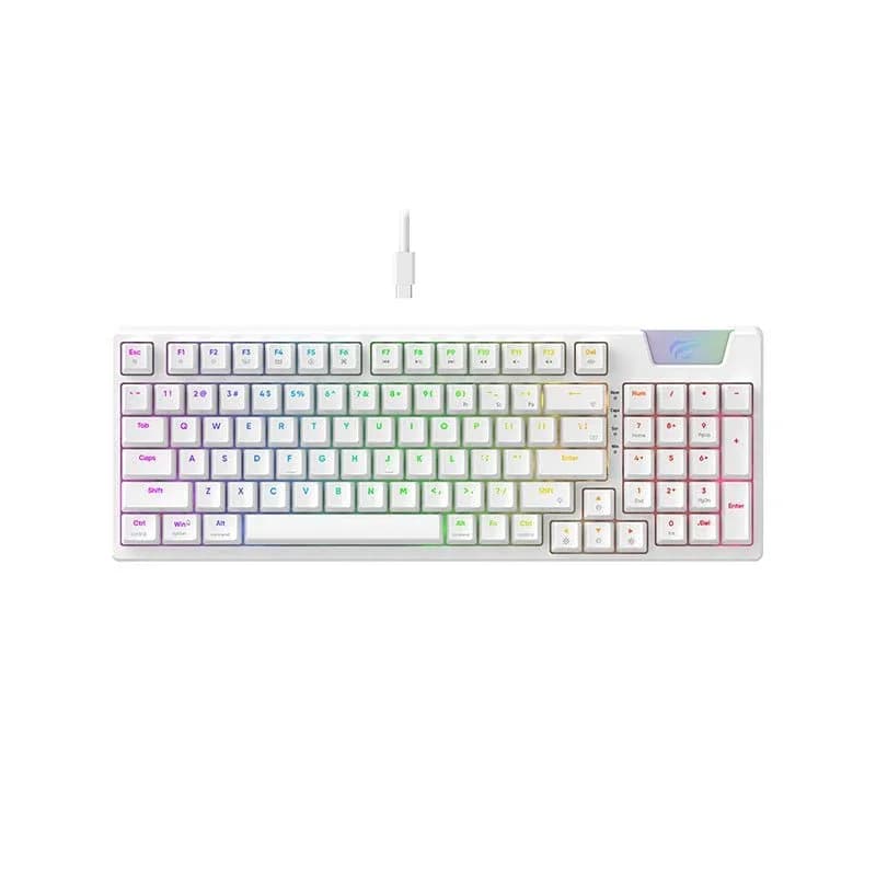 Clavier HAVIT Gamer Mécanique RGB KB885L 95%
