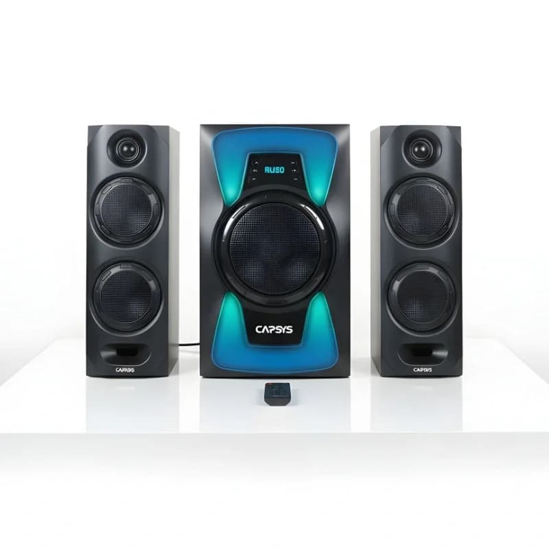 Haut Parleur CAPSYS ECO24 - 1